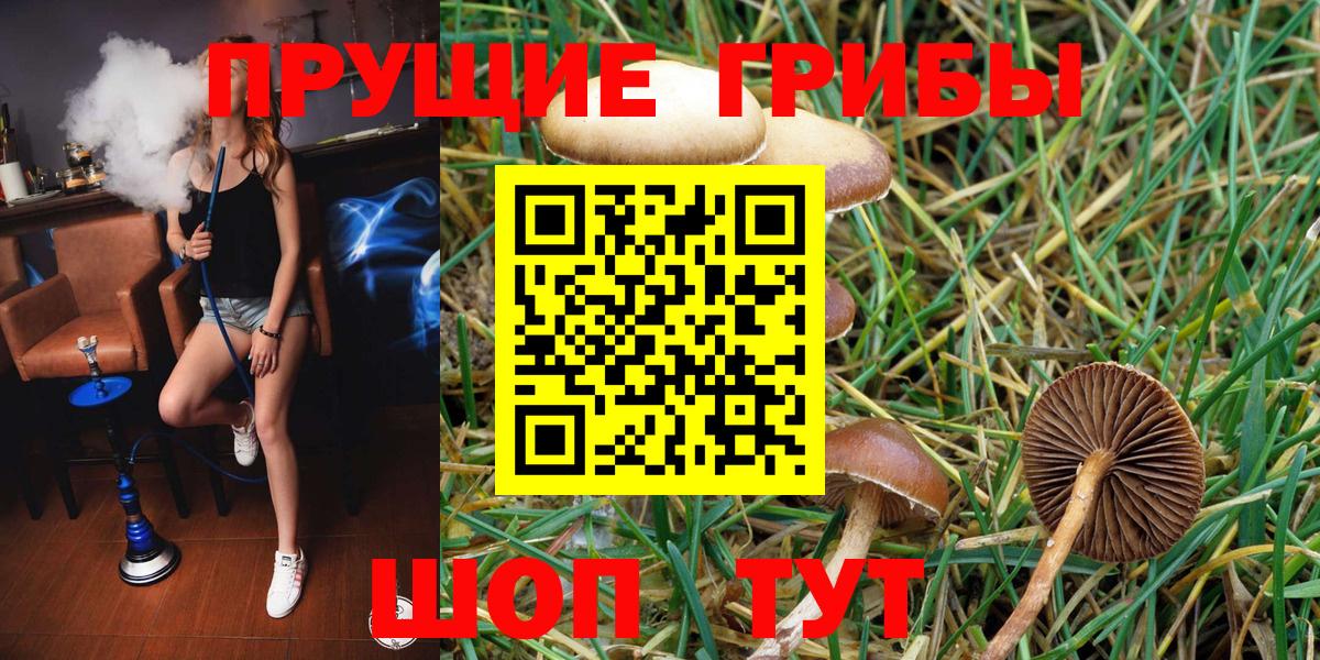Псилоцибиновые грибы Magic Shrooms Нурлат
